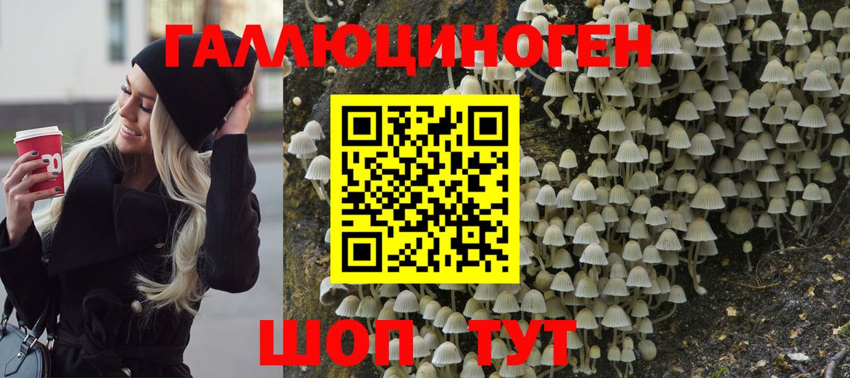 Галлюциногенные грибы GOLDEN TEACHER  Вход с VPN  Галлюциногенные грибы Psilocybine cubensis  Кстово 