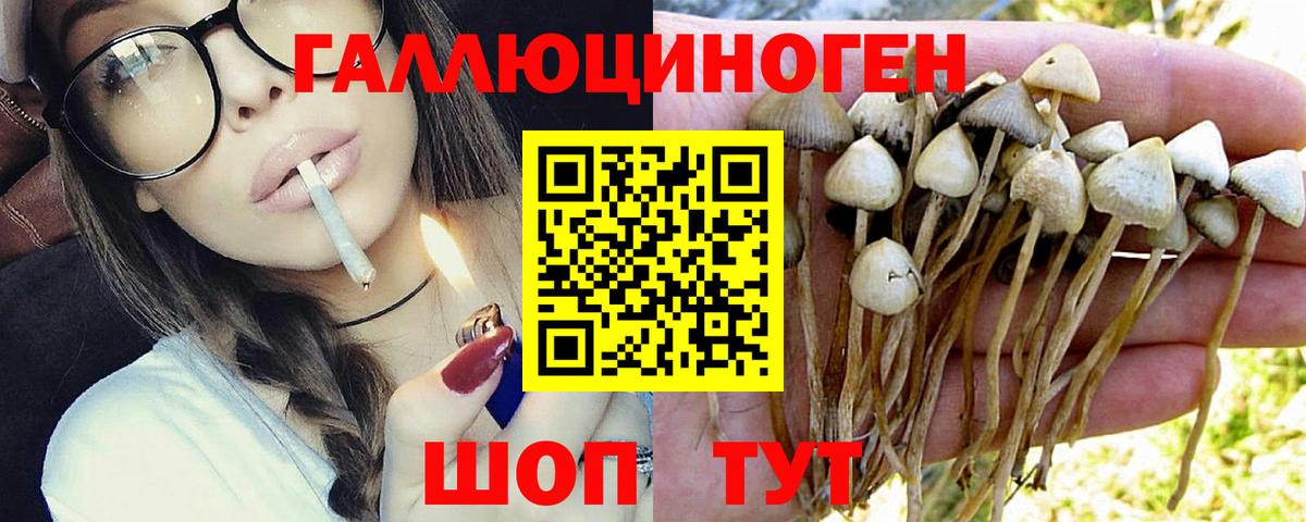Галлюциногенные грибы MAGIC MUSHROOMS Кстово