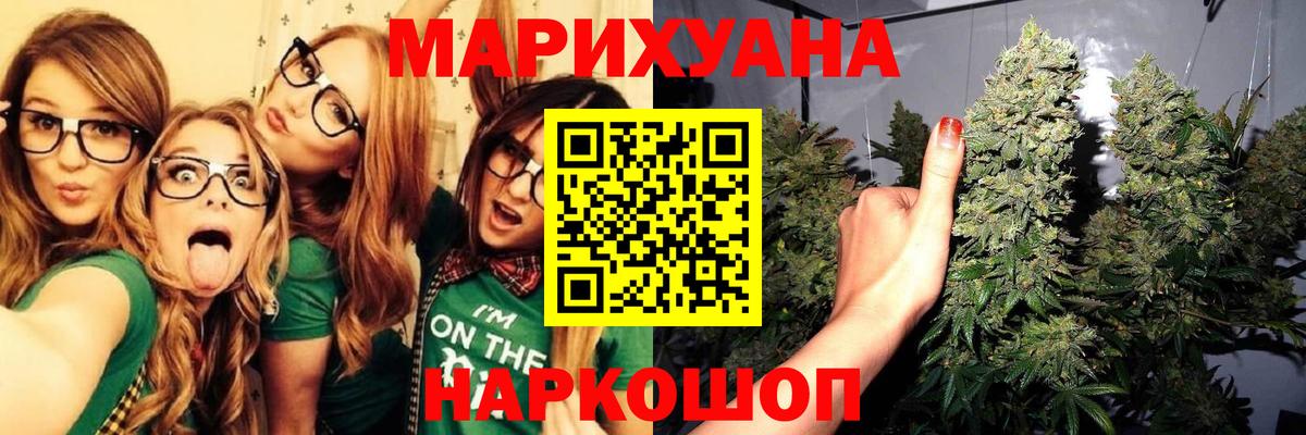 Бошки Шишки планчик Кстово